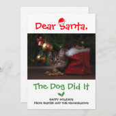 親愛サンタ、犬がペットの写真をおもしろい撮った シーズンカード (正面/裏面)