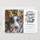 親愛Santa私は犬の写真おもしろいクリスマスを試した シーズンカード (正面)