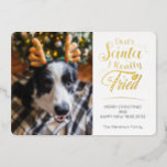 親愛Santa私は犬の写真おもしろいクリスマス金ゴールドを試した 箔シーズンカード<br><div class="desc">休日の応援を広めるために、あなたの家族と友人に、この愛らしいおもしろいのホリデーカードを送信する。このカードはトレンディーとモダンタイポグラフィを備え読て"Santa Iは本当に試した親愛"金ゴールドホイル手書きフォント実在。もっと作るユニークには、あなたの犬の写真を加える。カードの背中には手のプリントと黒と灰色の色合いの小さなハートと甘いデザインがある。</div>