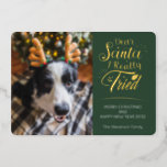 親愛Santa私は犬の3つの写真を試みたおもしろいクリスマス金ゴールド 箔シーズンカード<br><div class="desc">休日の応援を広めるために、この愛らしいおもしろい写真のホリデーカードを家族や友人に送信する。このカードはトレンディーとモダンタイポグラフィを備え読て"Santa Iは本当に試した親愛"金ゴールドホイル手書きフォント実在。もっと作るたユニークめカスタマイズに、このカードは前にあなたの犬の写真を付けて、その逆にあなたの写真の二つお気に入りのは、あなたの個人的なクリスマスの挨拶メッセージとあなたの名前/sと一緒に</div>