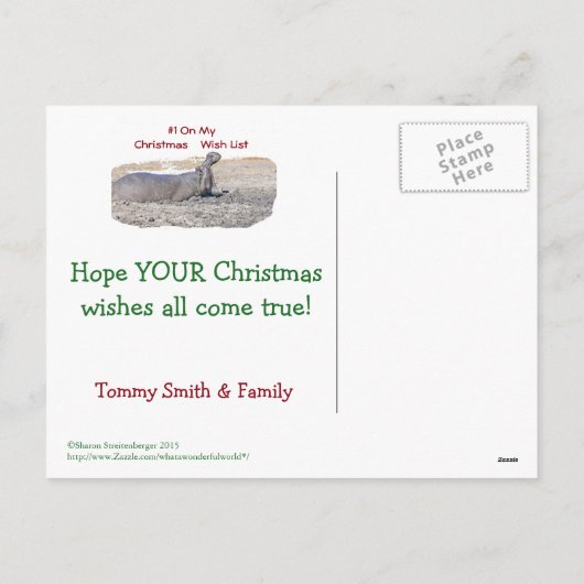 親愛SANTA/クリスマスに何が欲しいか シーズンポストカード (裏面)