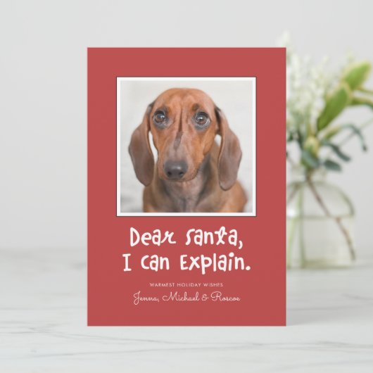 親愛SANTA I CAN EXPLAIN Your Photo (スタンド正面)