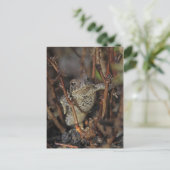 親指を下げる ポストカード (スタンド正面)