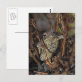 親指を下げる ポストカード (正面/裏面)