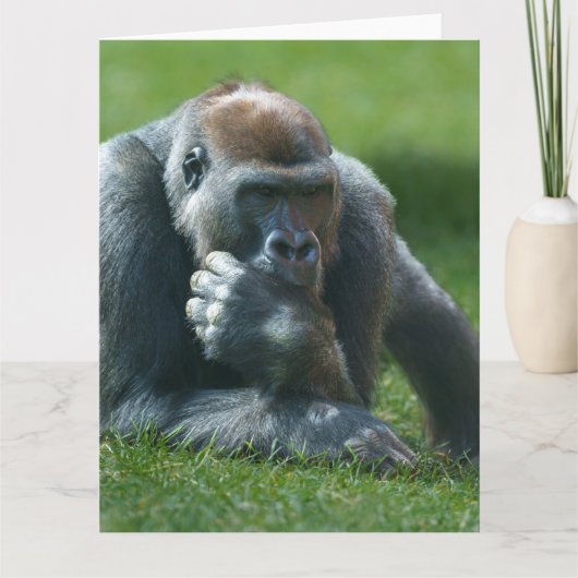 親指吸ゴリラ サンキューカード (正面)