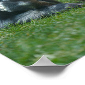 親指吸ゴリラ ポスター (角)