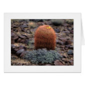 "親指" (正面横)