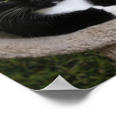 親指 ポスター (角)