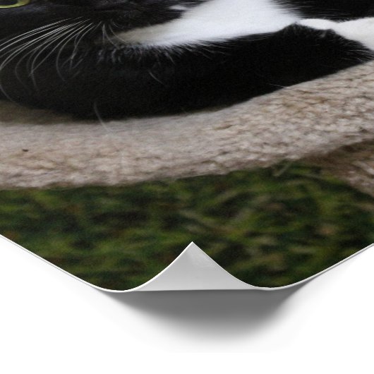 親指 ポスター (角)