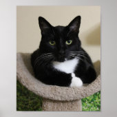 親指 ポスター (正面)