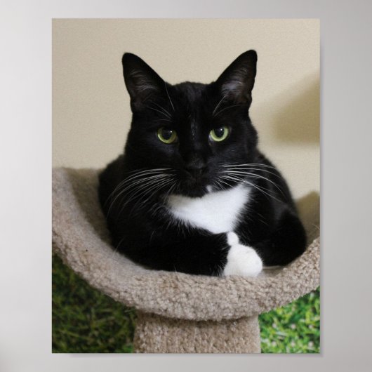 親指 ポスター (正面)