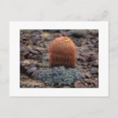 "親指" ポストカード (正面)