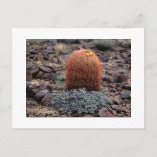 "親指" ポストカード (正面)