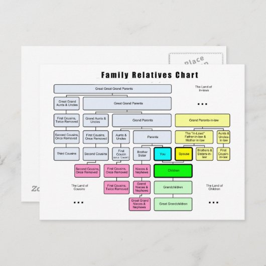 親族総系図団体や組織 ポストカード (正面/裏面)