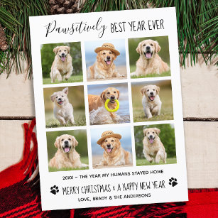 親最高の年Ever Dog Pet Photo Collage シーズンポストカード