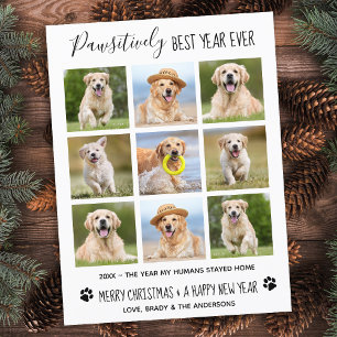 親最高の年Ever Dog Pet Photo Collage H ポストカード