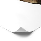 親熊と子熊のダブル露出 ポスター (角)