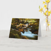 親用独身の カード (黄色い花)