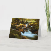 親用独身の カード (正面)