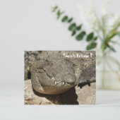 観光客いらっしゃい！! – ワニ –  ポストカード (スタンド正面)