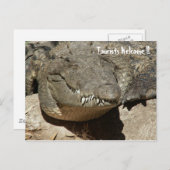 観光客いらっしゃい！! – ワニ –  ポストカード (正面/裏面)