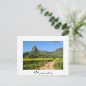 観光客サイクリングオントロピカルムーア白いはがき ポストカード (スタンド正面)