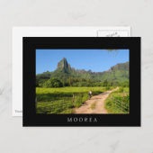 観光客サイクリングオントロピカルムーア黒のはがき ポストカード (正面/裏面)