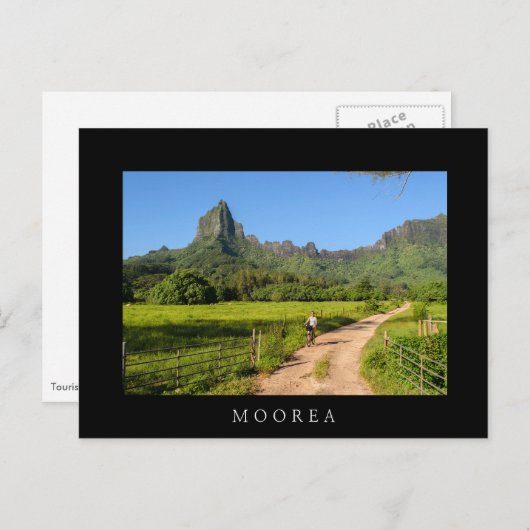 観光客サイクリングオントロピカルムーア黒のはがき ポストカード (正面/裏面)