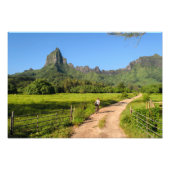 観光客サイクリングオン熱帯モーレア写真プリント フォトプリント (正面)