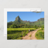 観光客サイクリングオン熱帯モーレア葉書 ポストカード (正面/裏面)