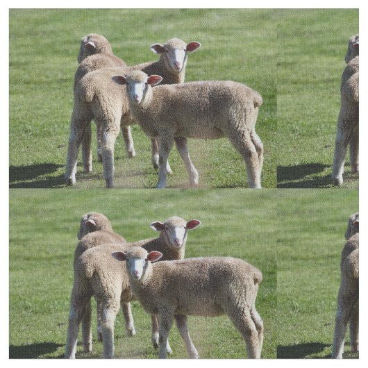 観光客 ファブリック (クローズアップ)