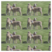 観光客 ファブリック (見本)