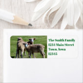 観光客 ラベル (インサイチュ)