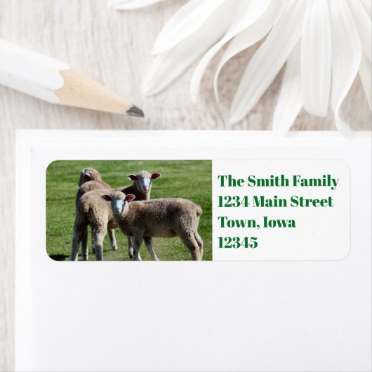 観光客 ラベル (インサイチュ)