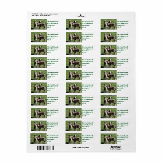 観光客 ラベル (フルシート)