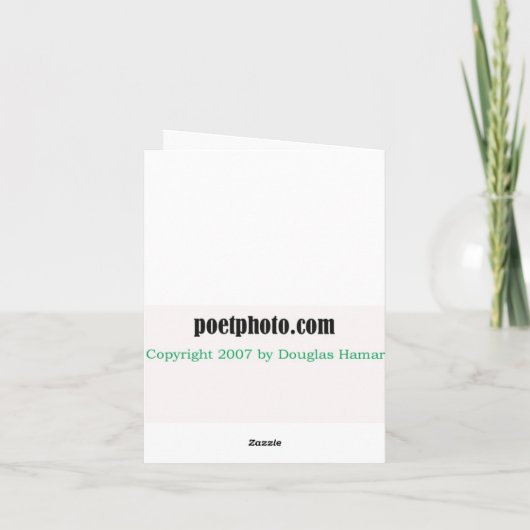 観察および想像カード カード (裏面)