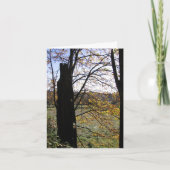 観察および想像カード カード (正面)