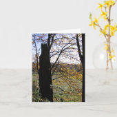 観察および想像カード カード (黄色い花)