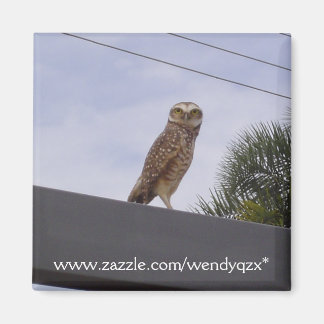 観測性フクロウ マグネット