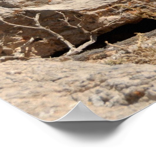 観測点 ポスター (角)