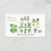 観葉植物と多肉植物 名刺 (正面)