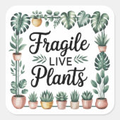 観葉植物を扱うスモールビジネスのための「壊れ物注意 - 生きた植物」ステッカー スクエアシール (正面)