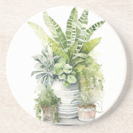 観葉植物 コースター