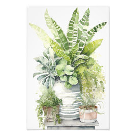観葉植物 フォトプリント