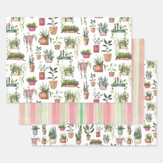 観葉植物 ラッピングペーパーシート (セット)