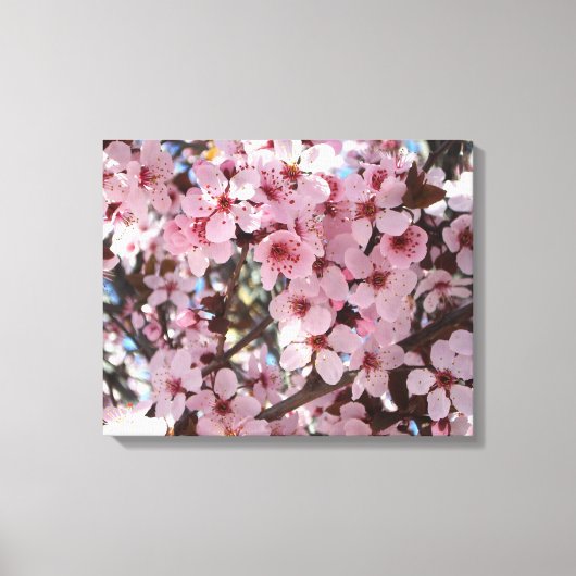 観賞用の花の木の上のピンクの花 キャンバスプリント (正面)