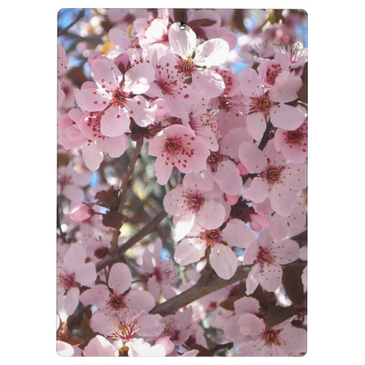 観賞用の花の木の上のピンクの花 クリップボード (裏面)