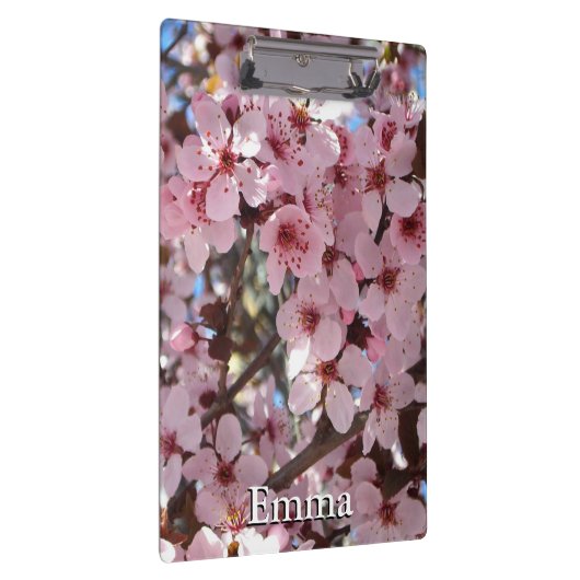 観賞用の花の木の上のピンクの花 クリップボード (右)