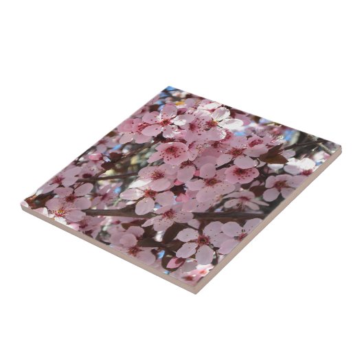 観賞用の花の木の上のピンクの花 タイル (側面)