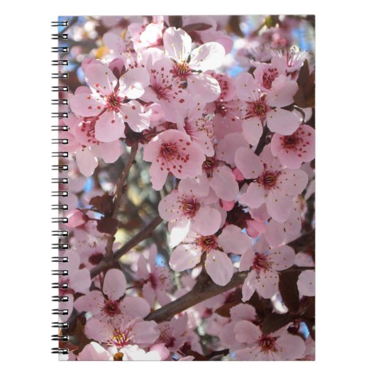 観賞用の花の木の上のピンクの花 ノートブック (正面)